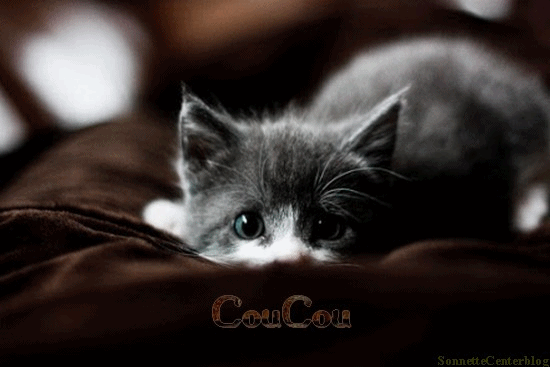 ec3d778e.gif