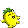 citron_pt-3.gif