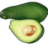 avokado.gif