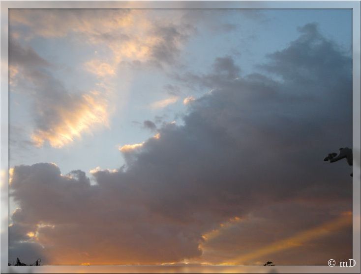 Ciel et luz TX