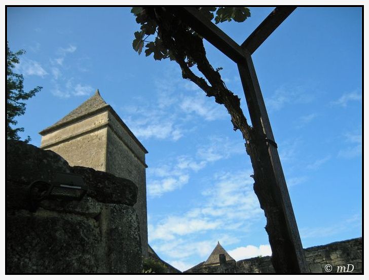 Eyrignac tour 6 TX
