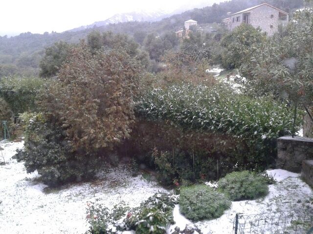 neige jardin Monique1