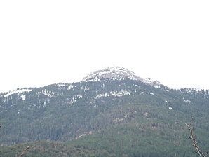 Tretorre Manuela