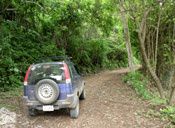 Location voiture TACACORI EcoLodge