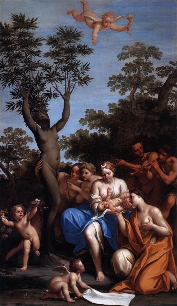 marcantonio franceschini la naissance adonis