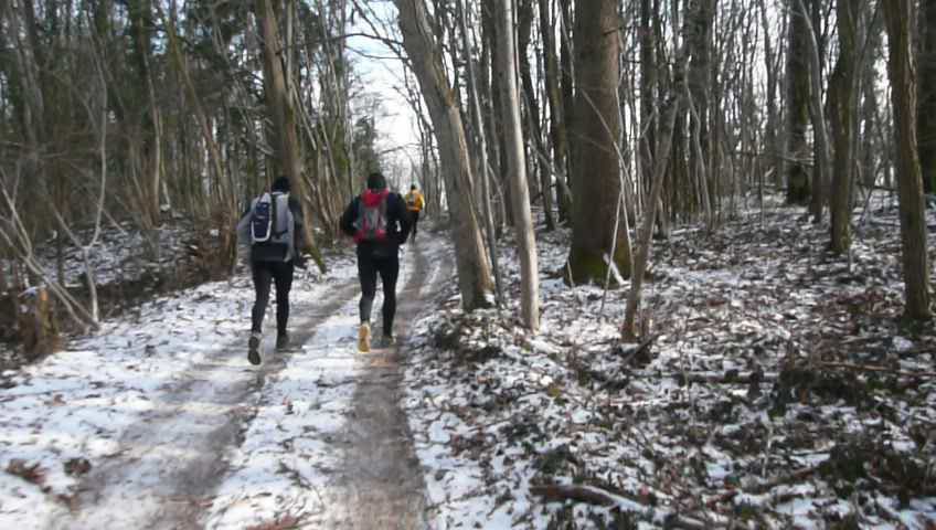Trail des Monts de Gy 2010