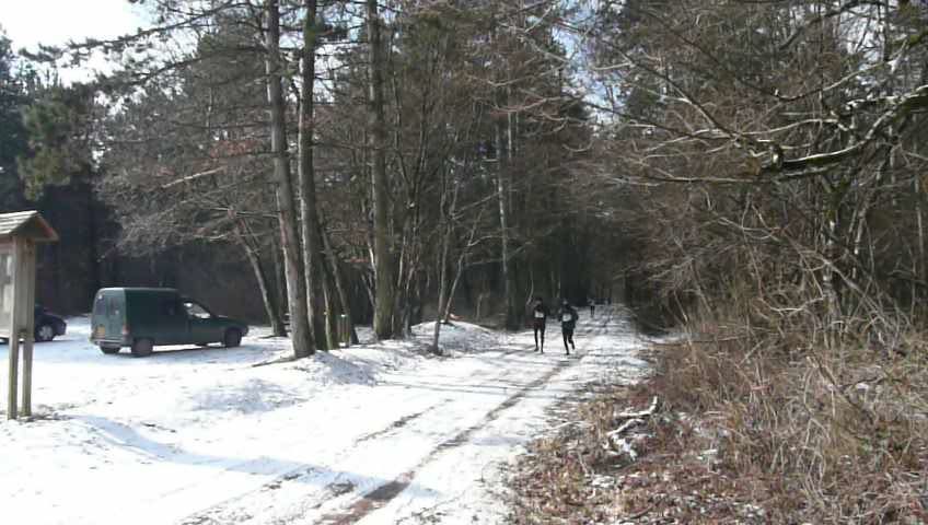Trail des Monts de Gy 2010
