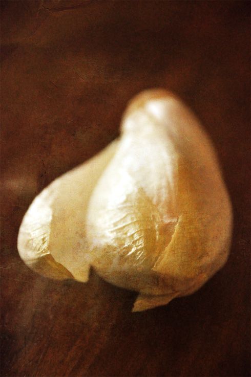 endive_la_cuisine_de_nathalie