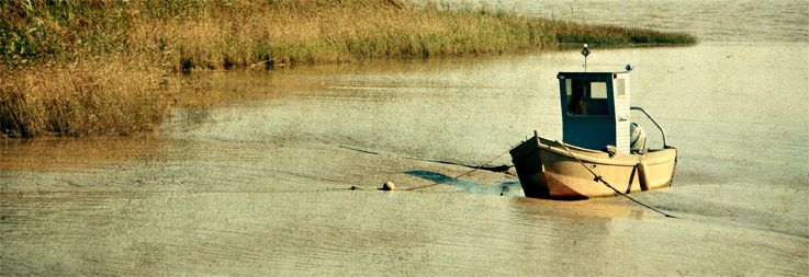 petit_bateau.jpg