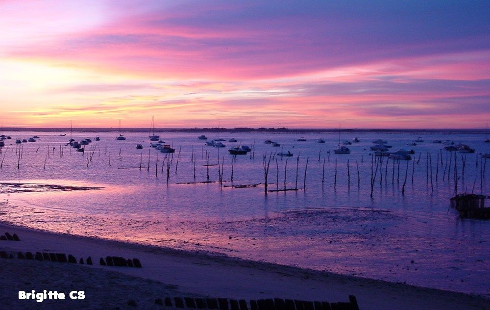 Lever De Soleil Sur Le Bassin D Arcachon Une Bonne Nouvelle Par Jour Le Blog D Ecureuil Bleu