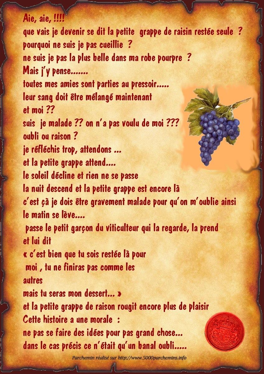 BRIGITTE---LHISTOIRE-DE-LA-GRAPPE-DE-RAISIN.jpg