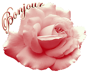 bonjour