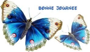 images--4--copie-4.jpg