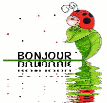 bonjour 10
