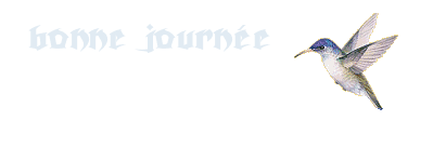 bonne journée