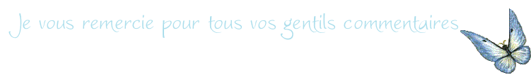 merci commentaires