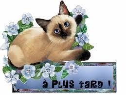 01 gif a plus tard
