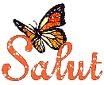 01 gif salut-copie-1