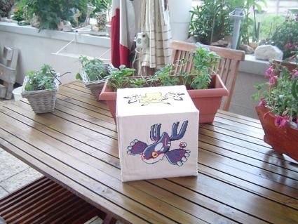 boitepardanpokemon3.jpg