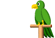 animaux-perroquet-2.gif