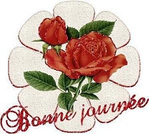 bonne journée