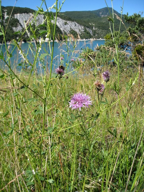 Balades-20-8722.JPG