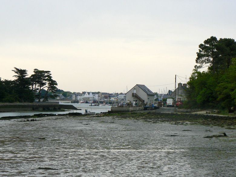 P1080794.JPG