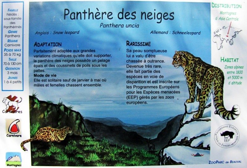 Beauval-1-4342.JPG