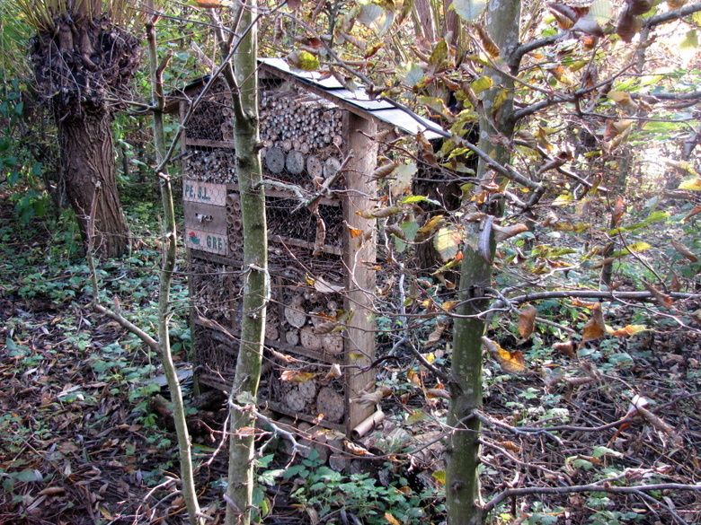 Chateaux-5-7444.JPG