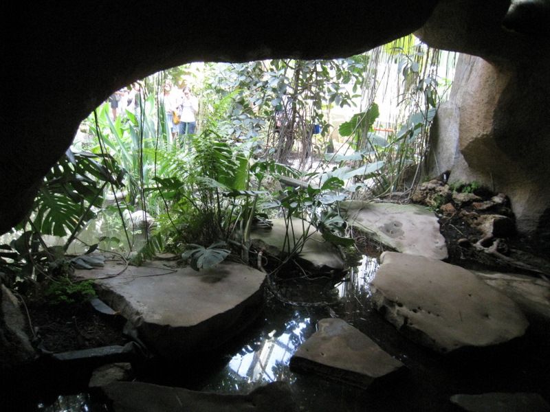 Jardins-des-plantes-6194.JPG