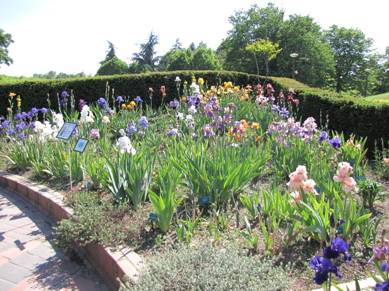 Parc-Floral-de-Vincennes--Paris-5039.JPG