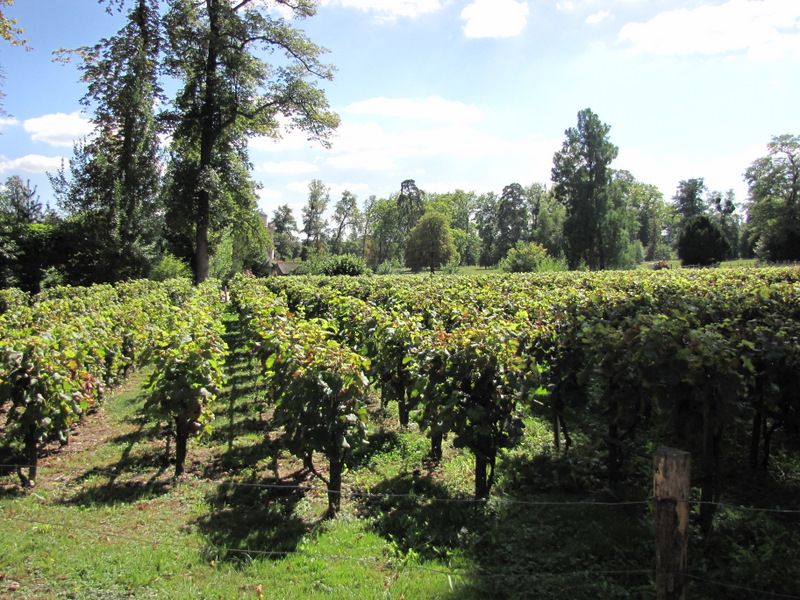 Trianon-8370.JPG