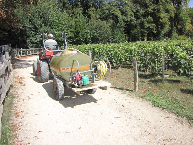 Trianon-8376.JPG
