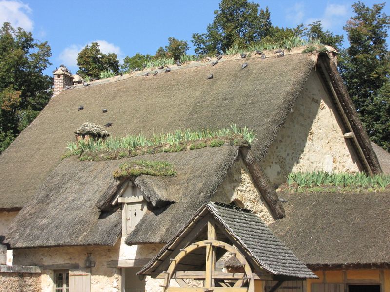 Trianon-8381.JPG