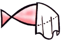 N12.gif