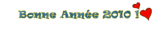bonne année 2010