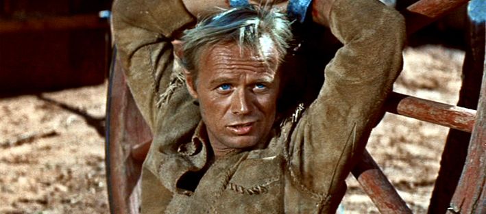 WIDMARK--3-.jpg