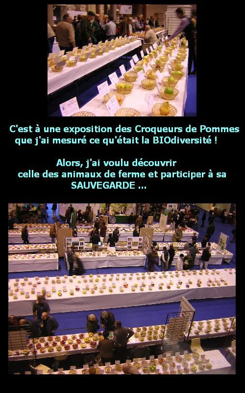 pommes