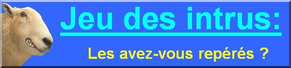 http://idata.over-blog.com/3/02/02/43/jeu100moutons/jeu-intrus-bandeau.jpg
