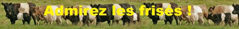 bandeau-frisés