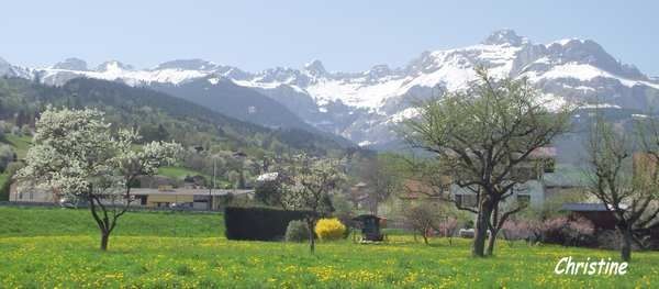 82-copie-1.jpg