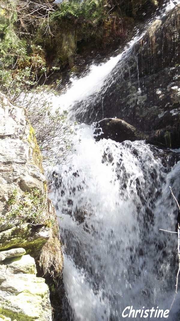DSCF8582.JPG