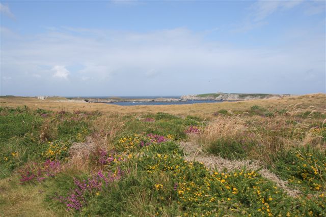 Ile d'Ouessant