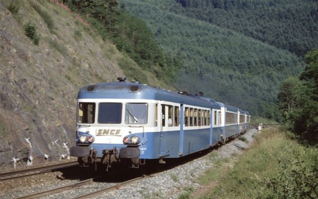 Les Sauvages, le train n°54278 Lyon-Roanne (18 juin 93)