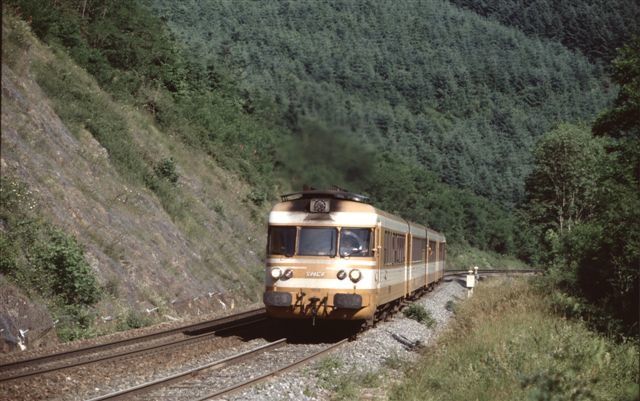 Les Sauvages, le train n°549580-1 Lyon-Clermont Ferrand (1