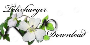 bouton karine