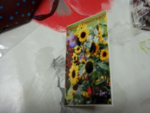 daniele29_carte-anniv2011.jpg