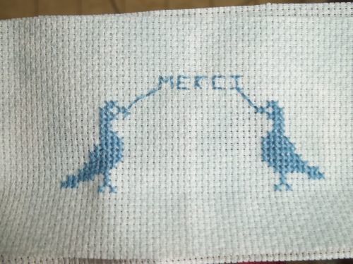 merci-oiseaux-bleutes.jpg