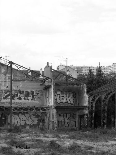 CIMG0080