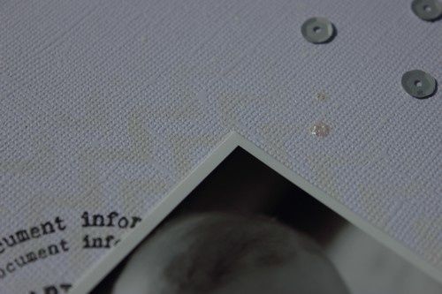 hello-detail-5.JPG